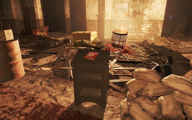 File:Guns and bullets ladies location.jpg