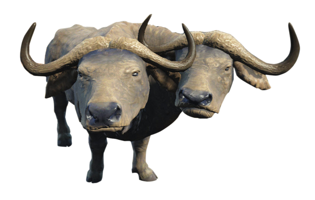 File:Brahmiluff2-NukaWorld.png