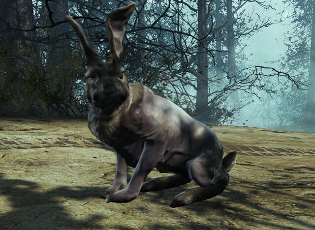 File:FO4FH-RadRabbit-Side.jpeg