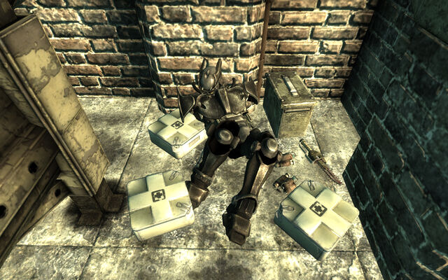 File:Fo3BS Enclave soldier log.jpg