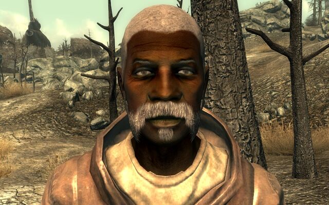 File:MegSettler1.jpg
