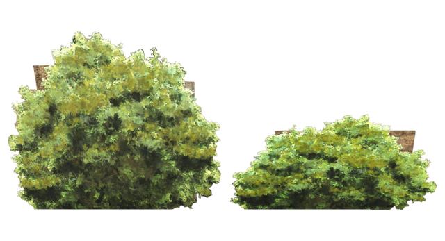 File:ShrubCutouts-NukaWorld.png
