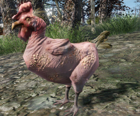 File:FO4-FarHarbor-RadChicken-Side.jpeg