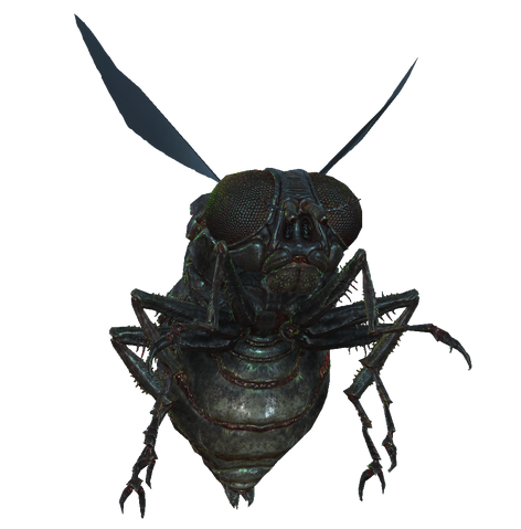 File:Bloatfly fo4.png