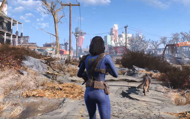 File:Default female SoleSurvivor.jpg