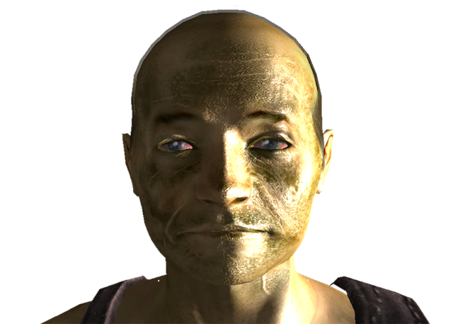 File:Driver Nephis head.png