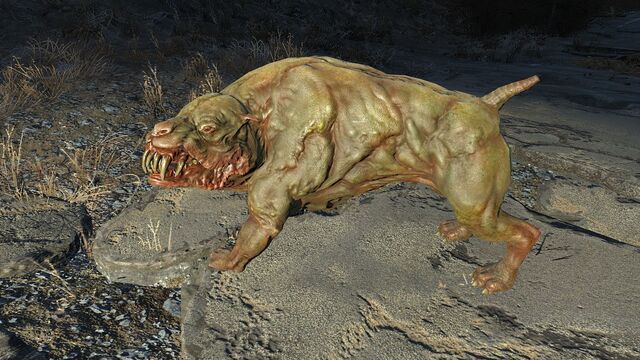 File:FO4 Mutant hound1.jpg