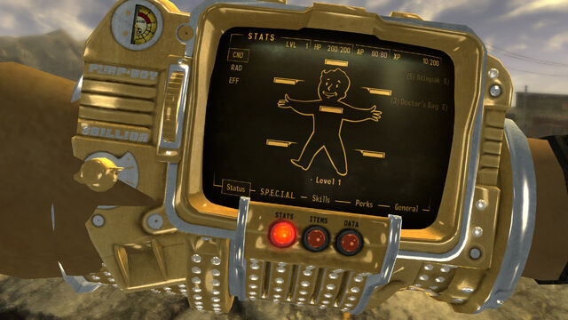 File:Angled PimpBoy female.jpg