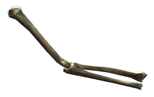 File:Left arm bones.png