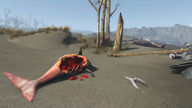 File:FO4Sea creatures Witchcraft coast.jpg