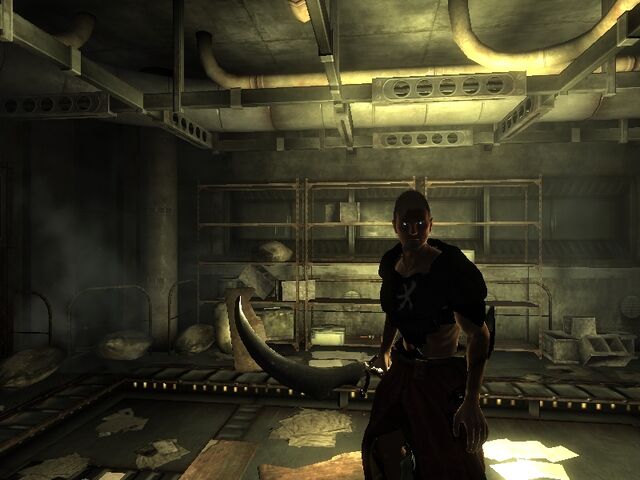 File:Another Marcus Paladin.jpg