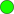 Icon green