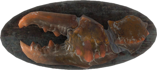 File:FO4-Mounted-Mirelurk-Claw.png