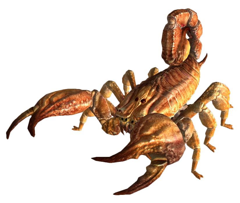 Scorpions Action Scorpions Action