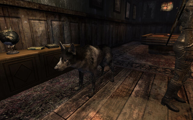 File:Cheyenne.jpg