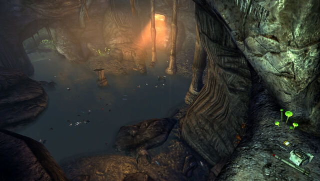File:OasisDampCaveAbovePond.jpg