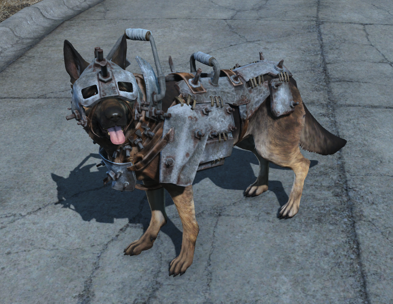 Featured image of post Dog Armor Fallout : Yes, it is the video game we are talking about.