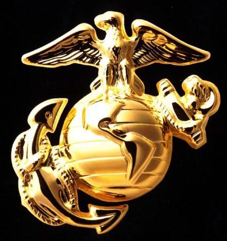 File:User gunny emblem.jpg