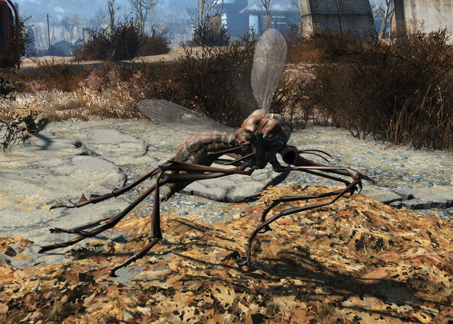 File:FO4 Bloodbug.jpg
