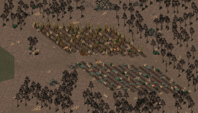 File:Farrels garden.png