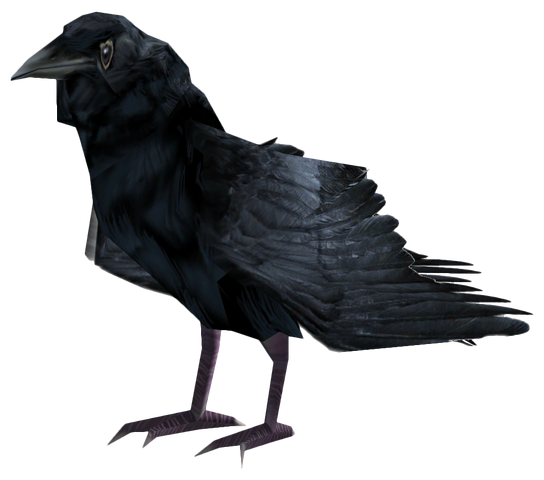 File:Raven.png