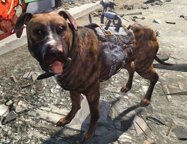 File:PackDog-NukaWorld.jpg
