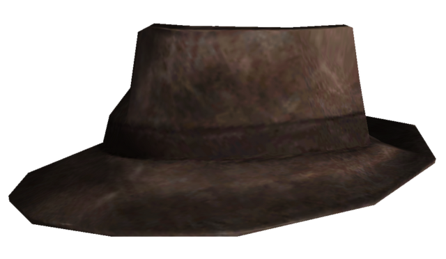 File:Shady Hat.png