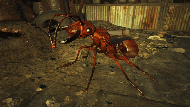 File:Fo4NW Soldier ant.png