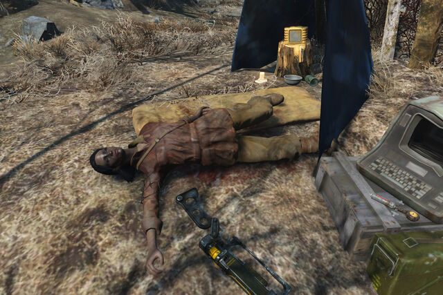 File:Fo4AUT Liza.jpg