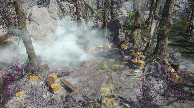 File:FO4FH-GlowingGroveView.jpeg