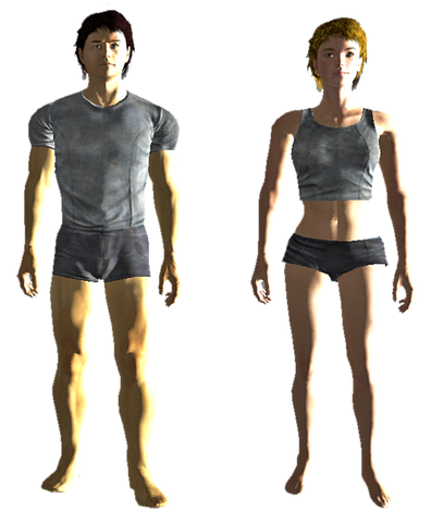 File:Outer Vegas defender.png