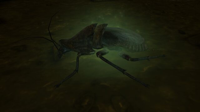 File:Irradiated radroach.jpg