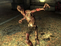 FO3 feral ghoul.jpg