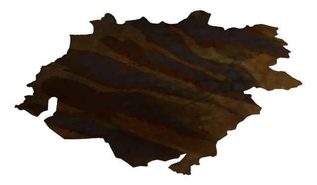 File:Tanned Golden Gecko Hide.png