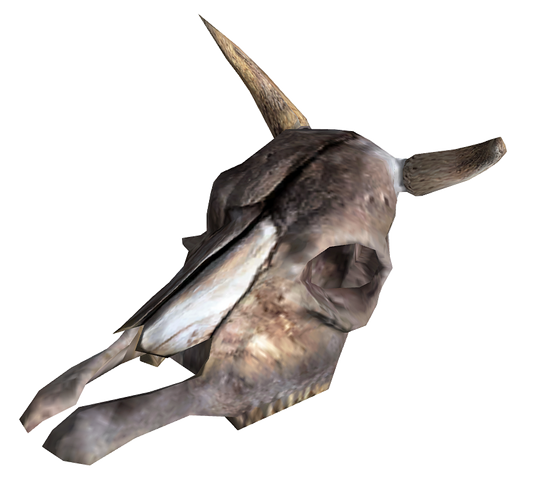 File:Brahmin Skull.png