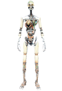 FO4 Synth.png