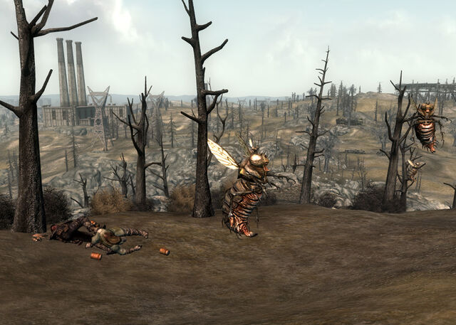 File:Bloatfly Reclining.jpg