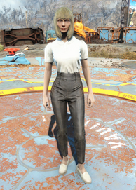 File:Fo4Genevas ensemble.png