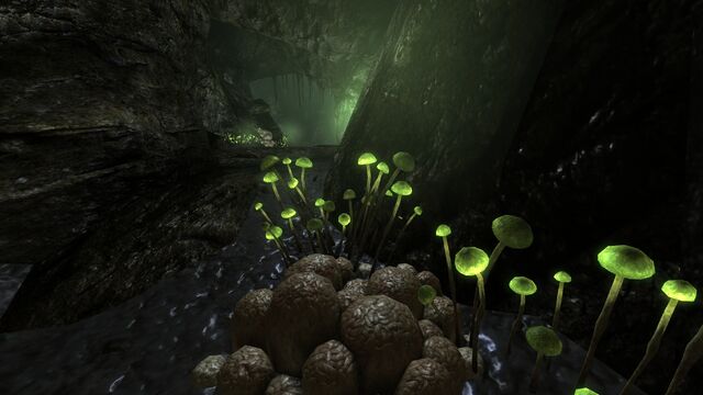 File:DLC04zTestSeaCave 2.jpg