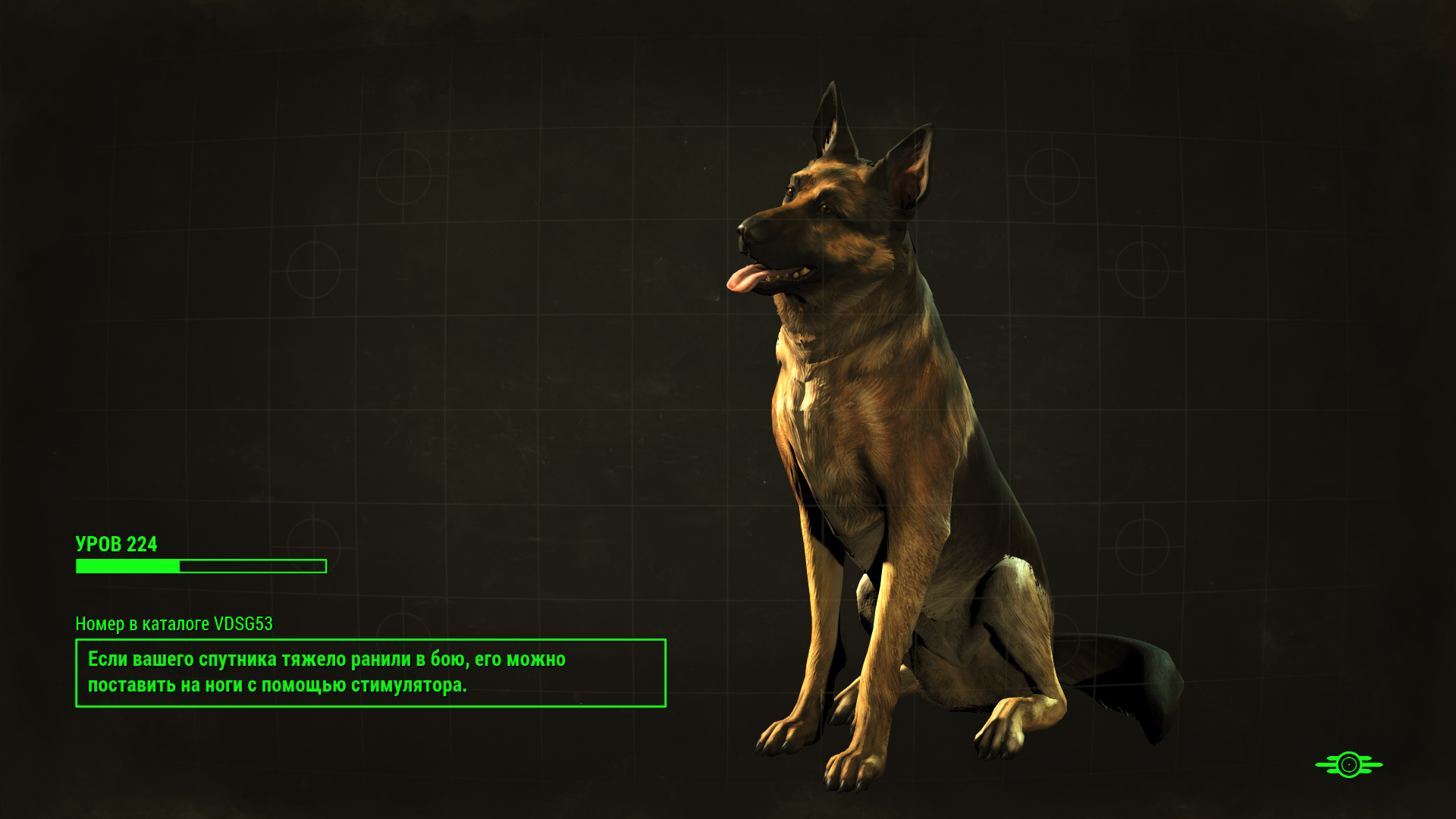 Dogmeat fallout 4 wiki фото 78