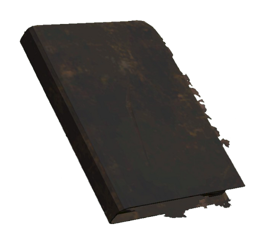 File:Burnt textbook.png