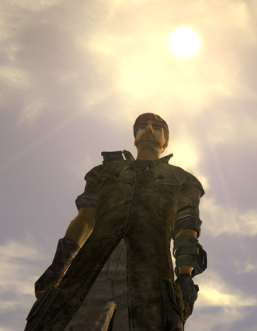 File:Flycouriersun.png
