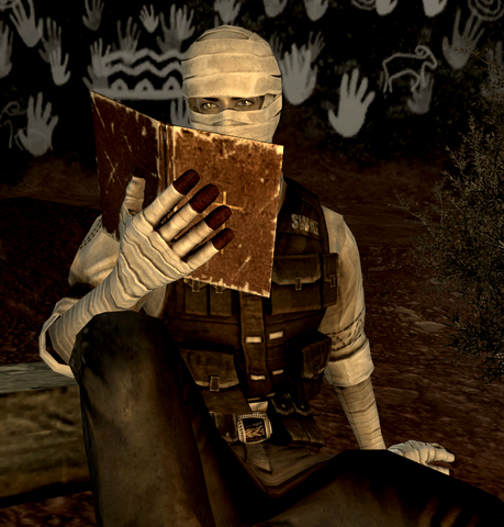 File:JoshuaGrahamBible.png