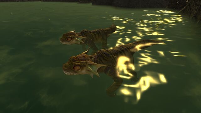File:Statswimgecko.jpg