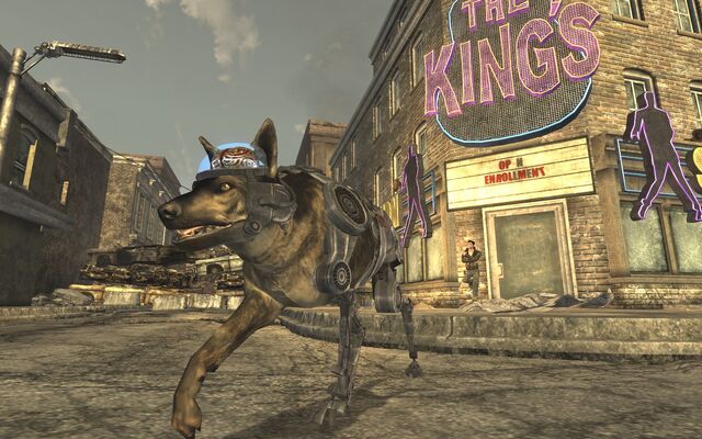 File:Rexthedog.jpg