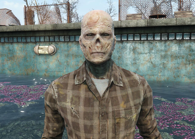 File:Fo4Wiseman.jpg