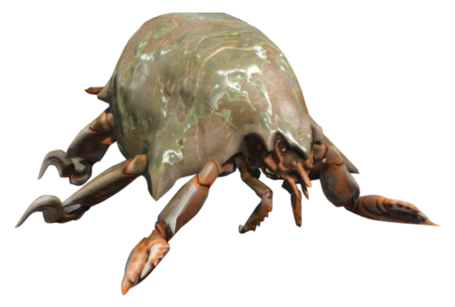 File:FO4 Mirelurk Hatchling.png