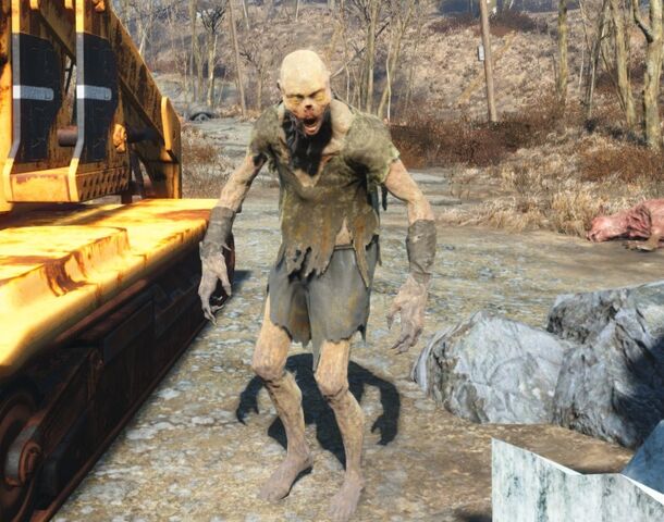 File:FO4-Feral Ghoul.jpeg