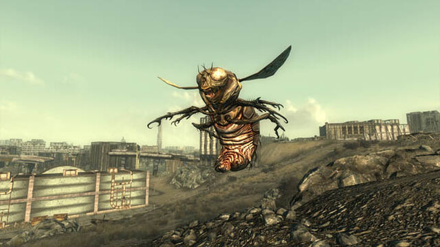 File:Bloatfly.jpg