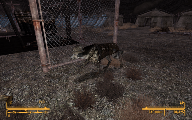 File:NCR dog.png